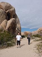 joshua tree (8) (Copier).JPG